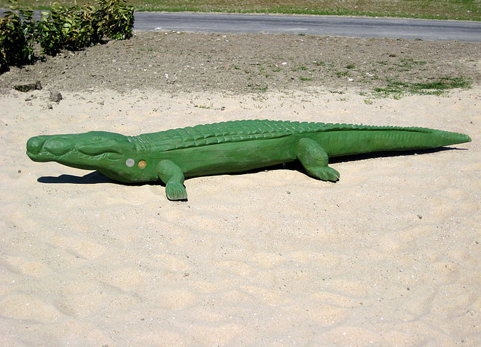 Crocodile Balance Beam – suitable for kindergarden