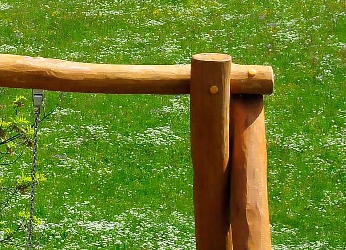Detail Toddler-Double Swing 200 made of Robinia Wood