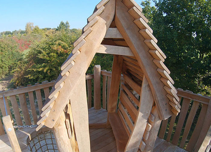 Treetop House in detail